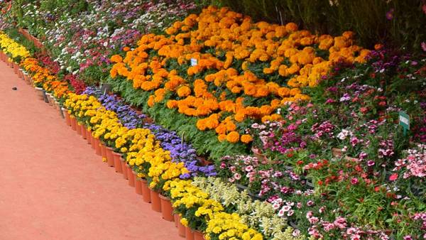 கோடைக்காலம்