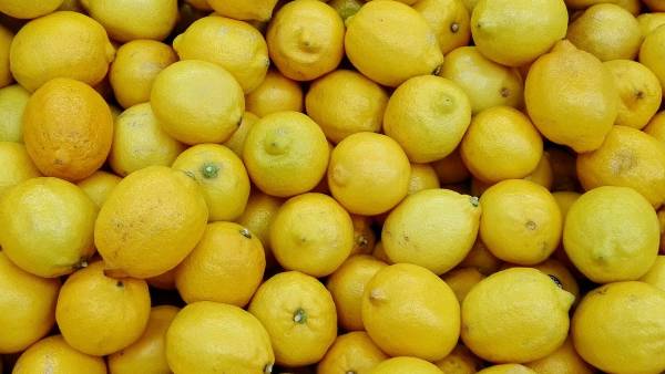 விசாரணை 