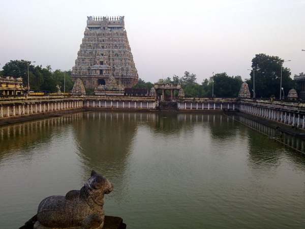 கொரோனா கால கட்டுப்பாடுகள் நீக்கம் கொரோனா கால கட்டுப்பாடுகள் நீக்கம்