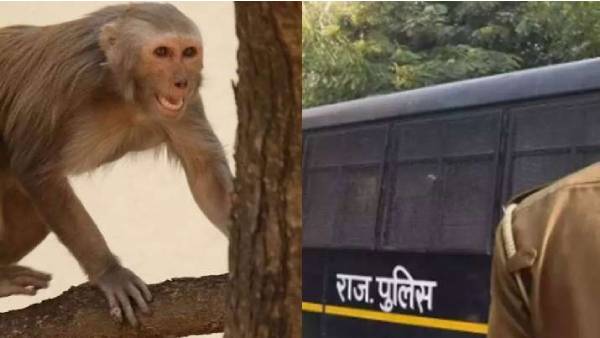  மரத்தடியில் ஆவண பை 