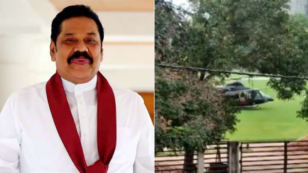 இந்தியாவுக்கு வர வாய்ப்பு இந்தியாவுக்கு வர வாய்ப்பு