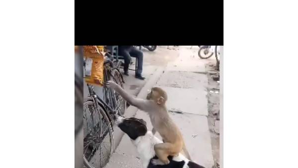 நண்பேன்டா