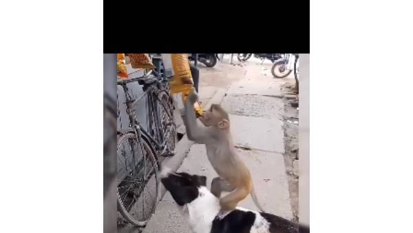 பழைய வீடியோ