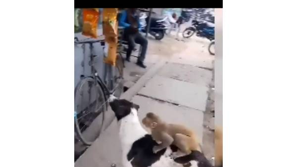 தோள் கொடுப்பான் தோழன்