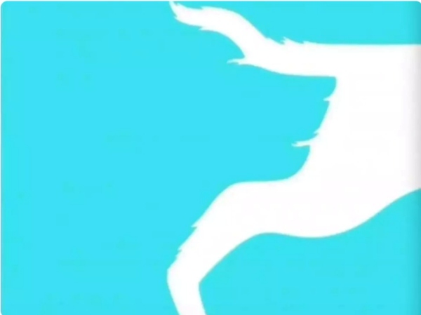 நாய் முகம் 