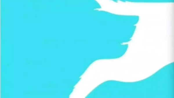 ஆப்டிக்கல் இல்யூஷன் 