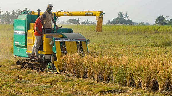 நெல் கொள்முதல் வெற்றி நெல் கொள்முதல் வெற்றி