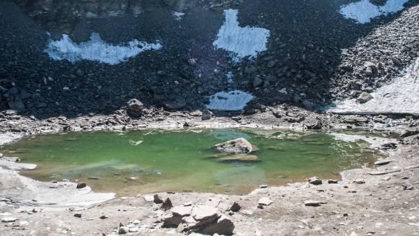 800 எலும்புக்கூடுகள் 