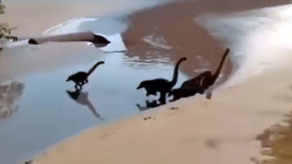 வீடியோ தந்திரம்