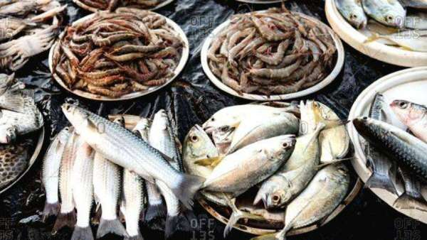  விஷத்தன்மை