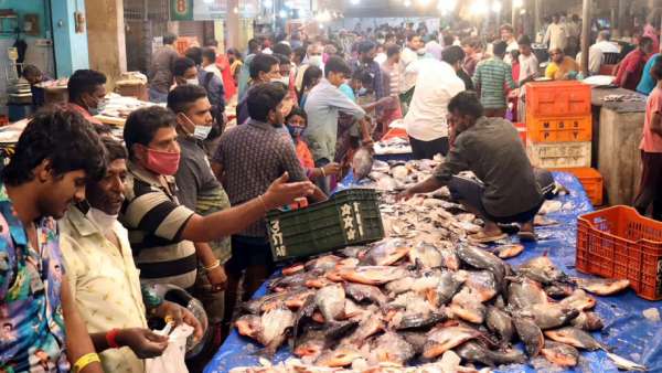  கானாங்கெளுத்தி