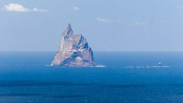 தனித்துவமான தோற்றம் 