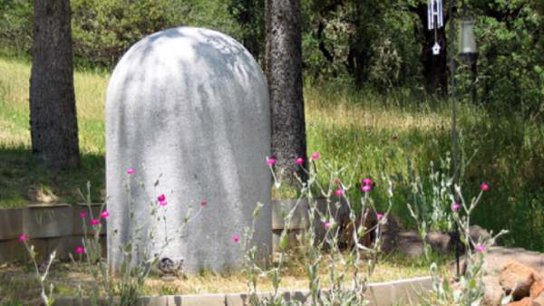 கிரேன் கிரேன்