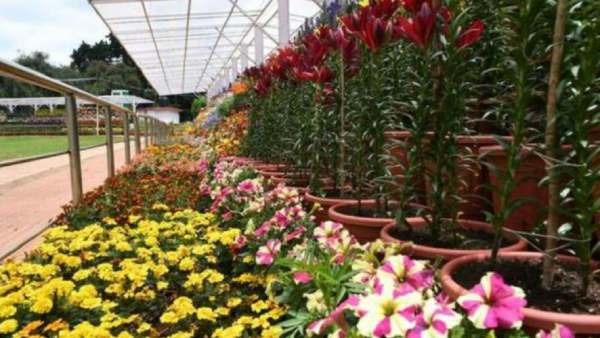 பூத்துக்குலுங்கும் மலர்கள் 