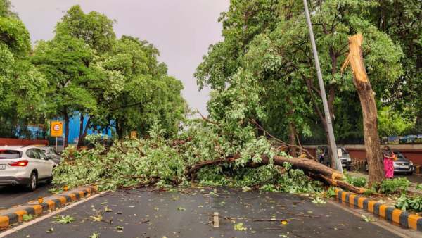  பரிதாப பலி