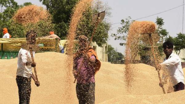 ஒரு கிலோவில் மாவு எவ்வளவு? 