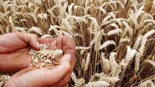 இருப்பு குறைய வாய்ப்பு 