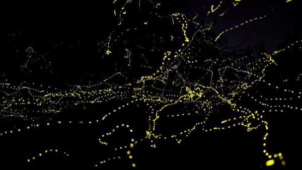  மின்மினி நடனம்