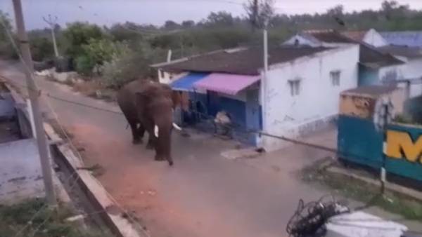 மக்கள் கோரிக்கை மக்கள் கோரிக்கை