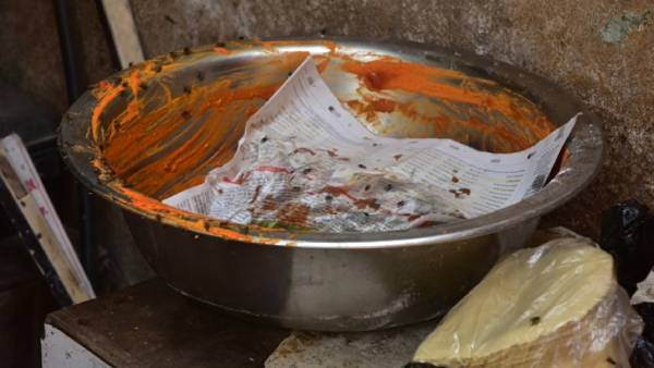 ஈ, கொசுக்கள் 