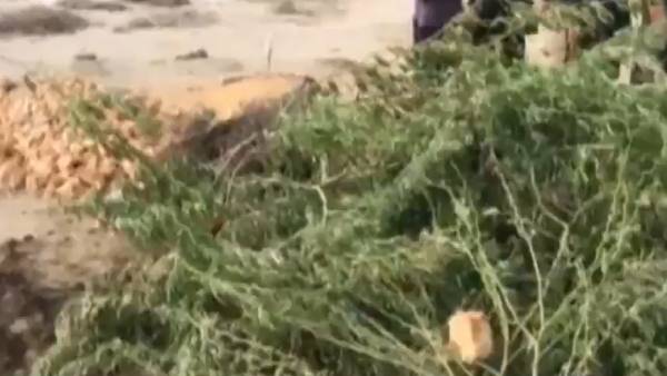  மாயமான உடல் 