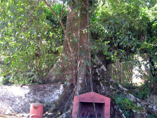 பூசாரி பூசாரி