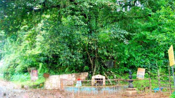 மலை உச்சி மலை உச்சி