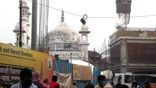 வீடியோ ஆய்வு 