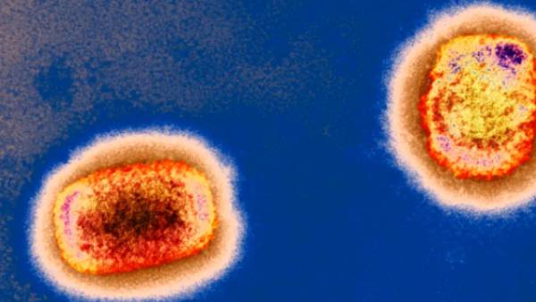  எப்படிப் பரவும்