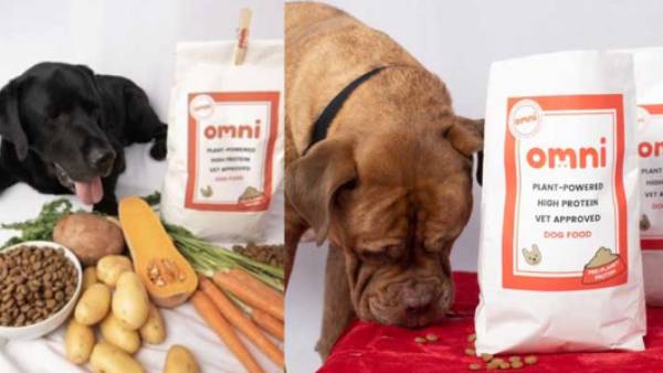 நாங்களே சாப்பிடுவோம் 