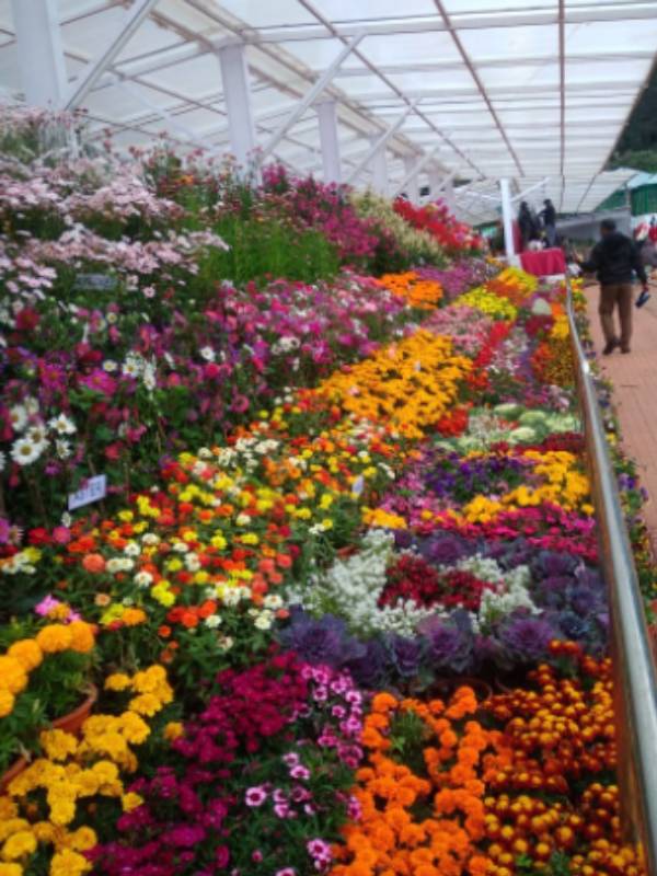 மலர் அலங்காரம் 