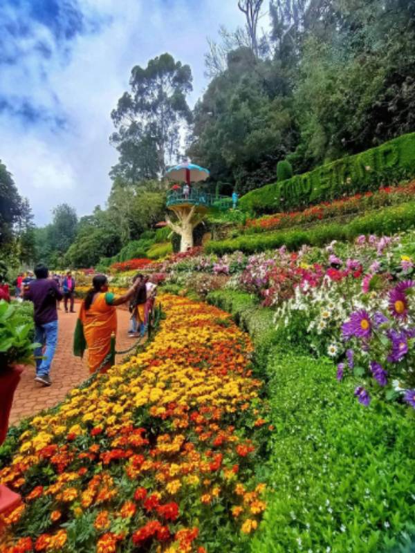 வேளாண் பல்கலைக்கழக வடிவமைப்பு 