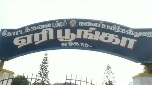 ஏற்காட்டின் சிறப்பம்சங்கள் ஏற்காட்டின் சிறப்பம்சங்கள்