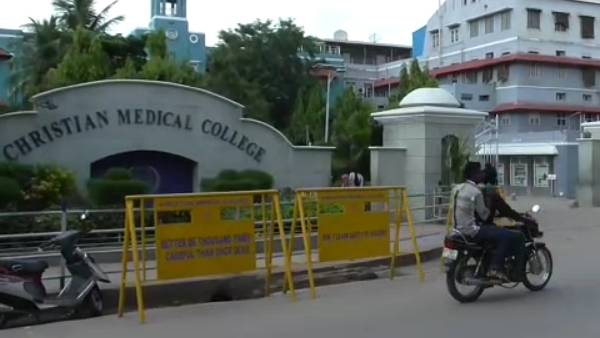 கல்லீரல் கல்லீரல்