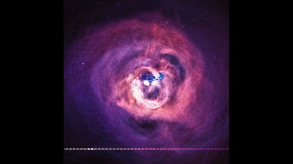 விழுங்கும் திறன் 