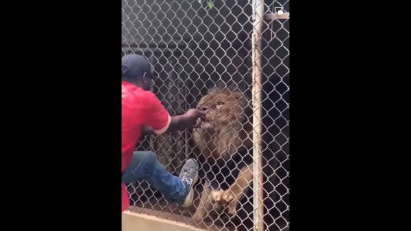 விபரீத விளையாட்டு