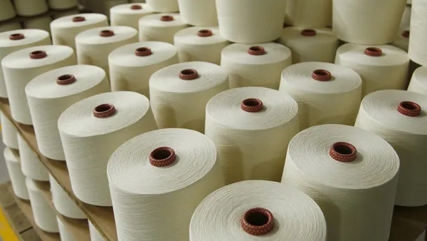  பஞ்சு பதுக்கல் 