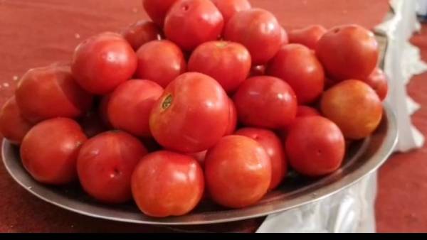 திருமண பரிசு 