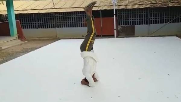 கேள்வி: தற்போது இந்த பயிற்சிகளை வைத்து என்ன செய்துகொண்டிருக்கிறீர்கள்? கேள்வி: தற்போது இந்த பயிற்சிகளை வைத்து என்ன செய்துகொண்டிருக்கிறீர்கள்?