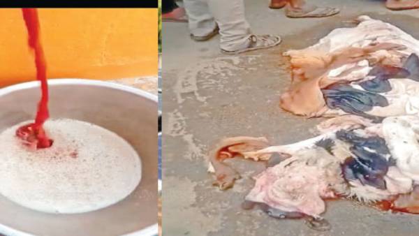 சாயப்பட்டறை சாயப்பட்டறை