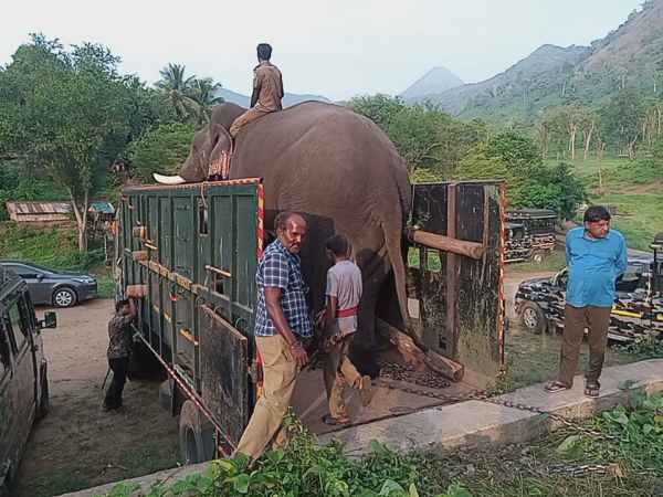 அடம்பிடித்த சின்னதம்பி 