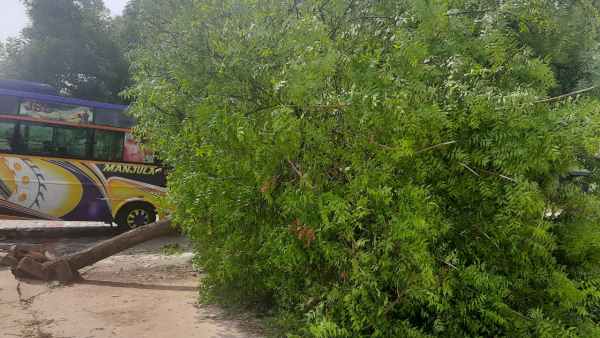 தருமபுரியில் ஆலங்கட்டி மழை தருமபுரியில் ஆலங்கட்டி மழை
