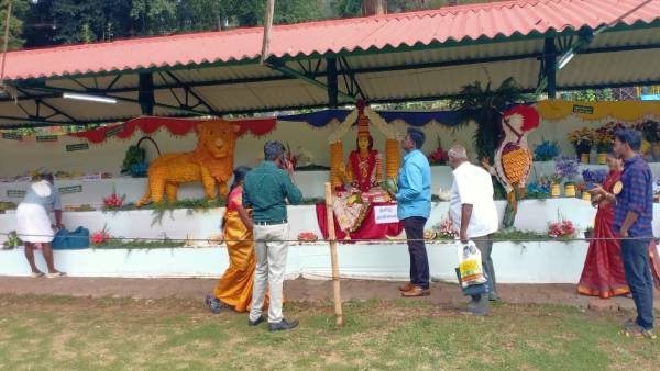 சுற்றுலா பயணிகள் உற்சாகம் 