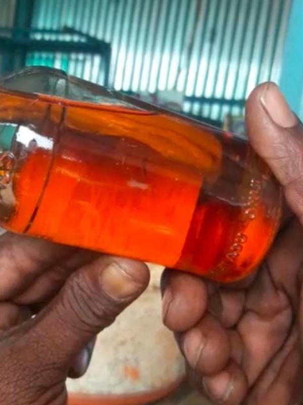 மதுபாட்டிலில் தவளை மதுபாட்டிலில் தவளை