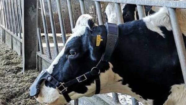  மாஸ்க்கில் சென்சார்