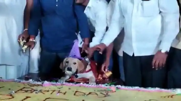  100 கிலோ கேக்