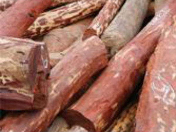 செம்மரம் பறிமுதல் 