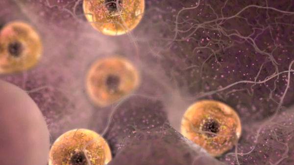 ஈரோட்டில் அதிர்ச்சி ஈரோட்டில் அதிர்ச்சி