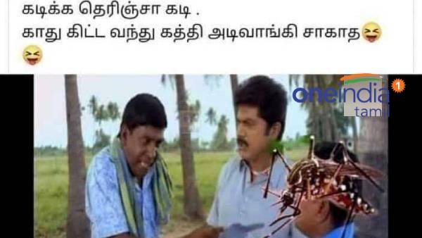 Funny memes collection on mosquito