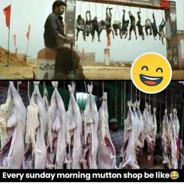 Funny memes collections on sunday 